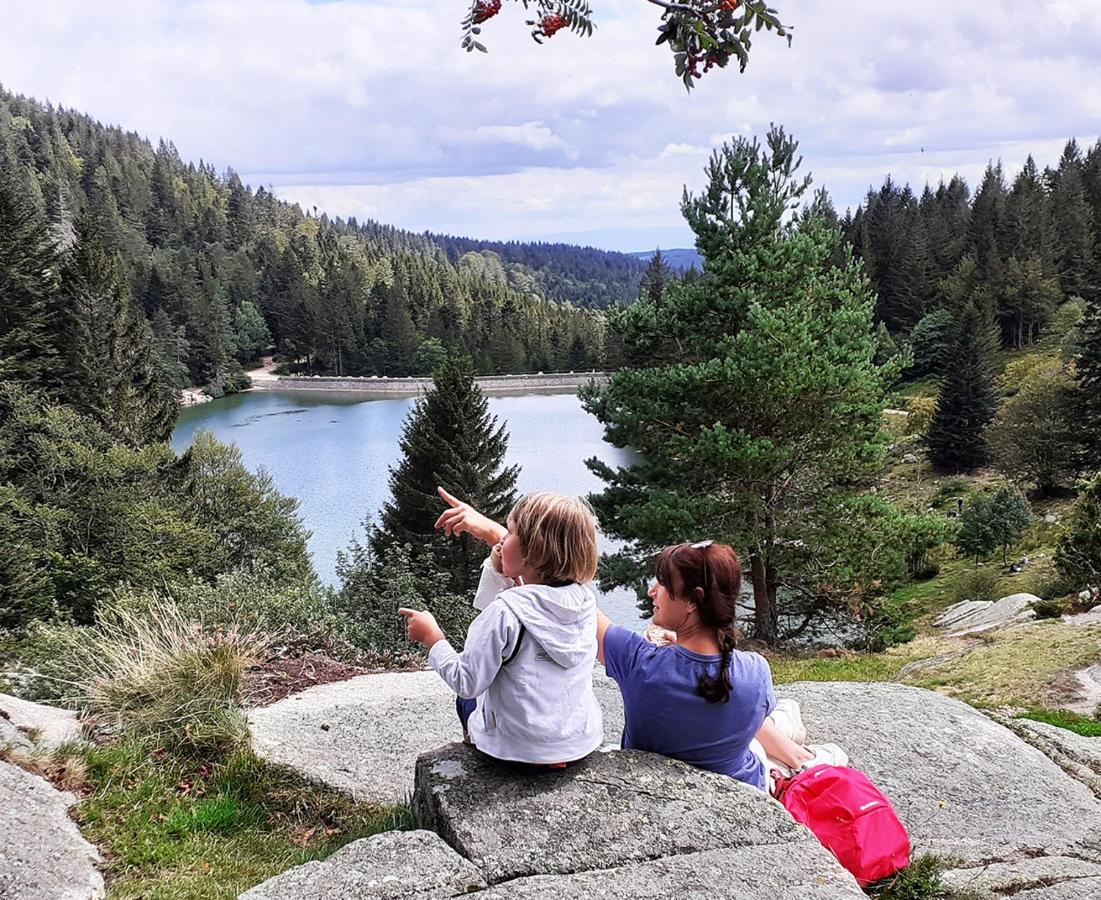 Chalet Hohneck 4 Etoiles, Vieux Bois Et Pierre, Spa, Sauna, Borne De Recharge Stosswihr Dış mekan fotoğraf