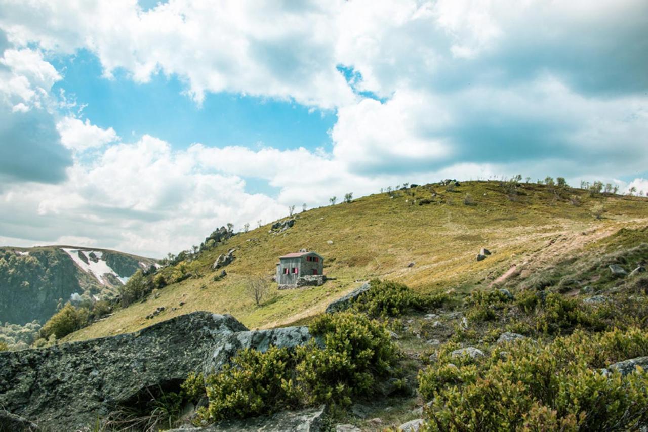 Chalet Hohneck 4 Etoiles, Vieux Bois Et Pierre, Spa, Sauna, Borne De Recharge Stosswihr Dış mekan fotoğraf