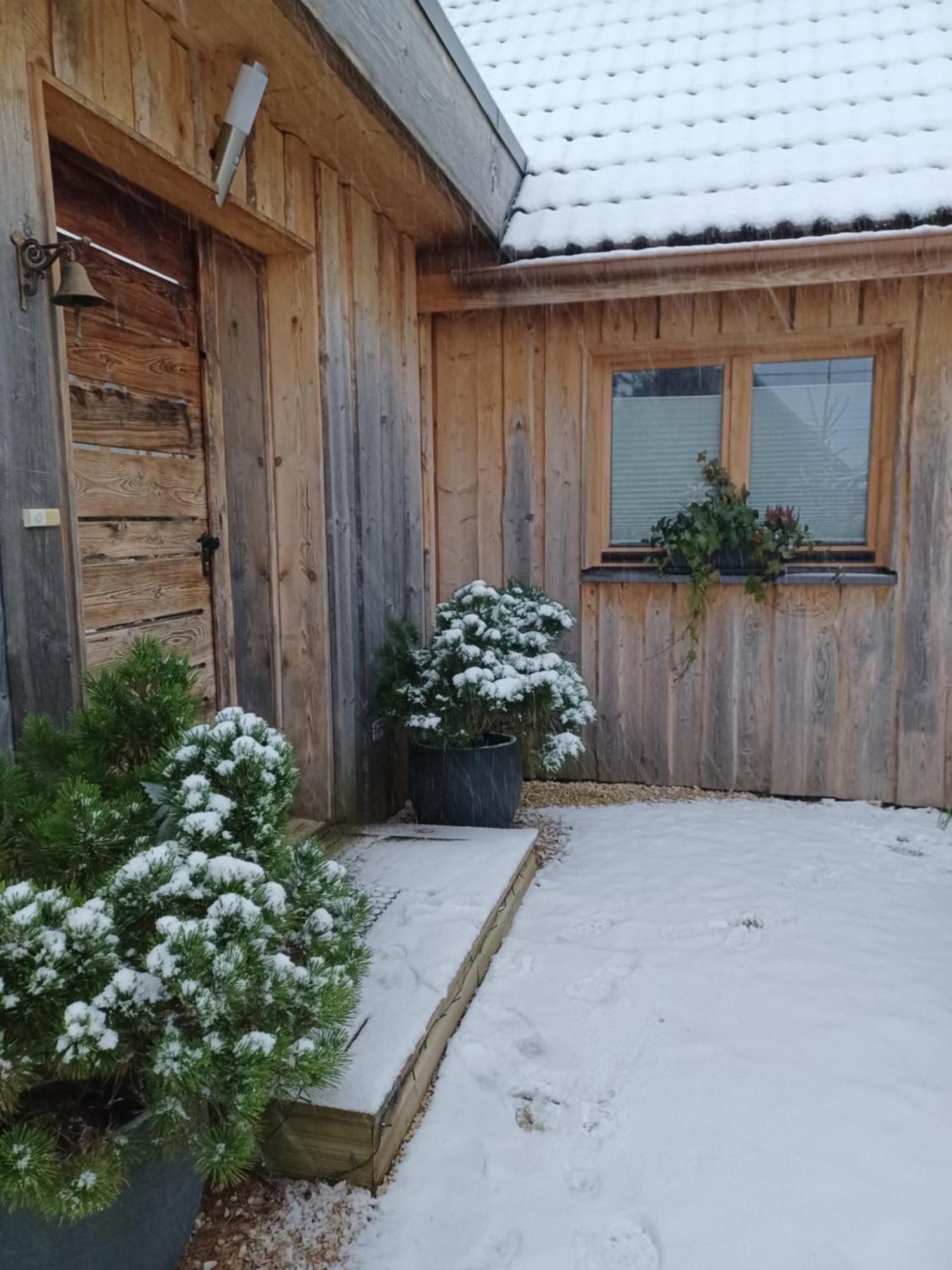 Chalet Hohneck 4 Etoiles, Vieux Bois Et Pierre, Spa, Sauna, Borne De Recharge Stosswihr Dış mekan fotoğraf